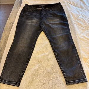 Woman’s Lane Bryant stretch skinny jeans
